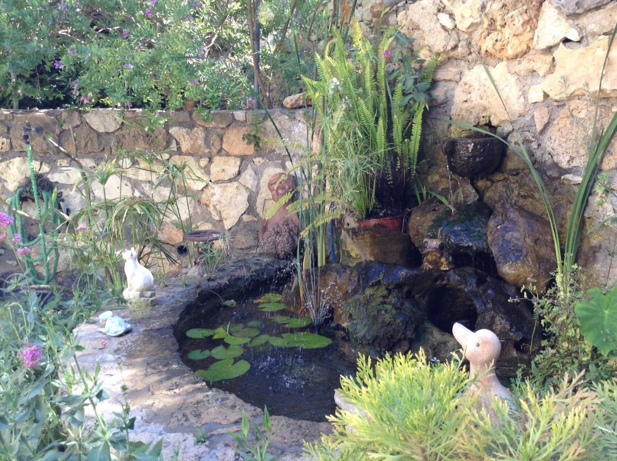 Olive House Traditional Villa With Pool Sitía Eksteriør bilde