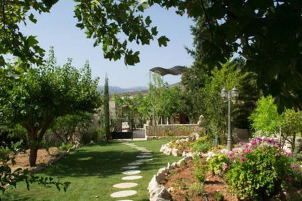 Olive House Traditional Villa With Pool Sitía Eksteriør bilde